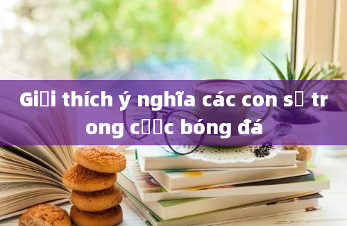 Giải thích ý nghĩa các con số trong cược bóng đá