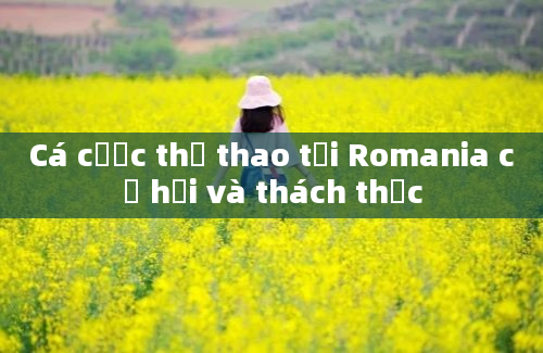 Cá cược thể thao tại Romania cơ hội và thách thức