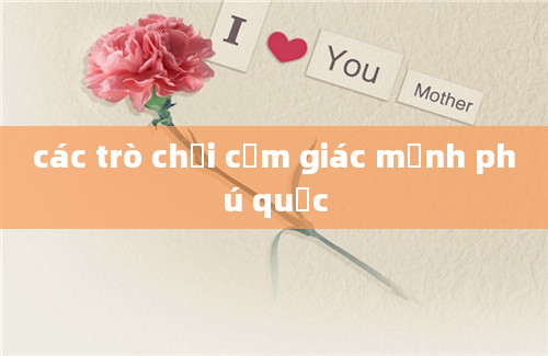 các trò chơi cảm giác mạnh phú quốc