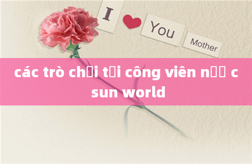 các trò chơi tại công viên nươ c sun world