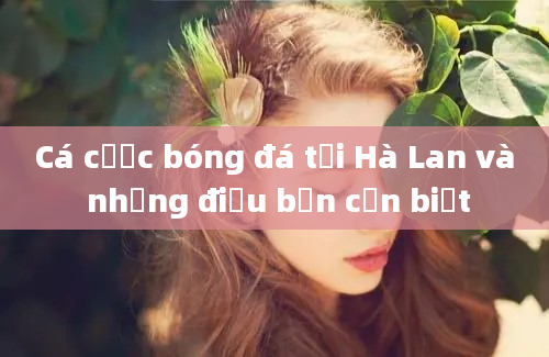 Cá cược bóng đá tại Hà Lan và những điều bạn cần biết