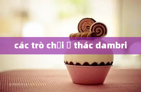 các trò chơi ở thác dambri