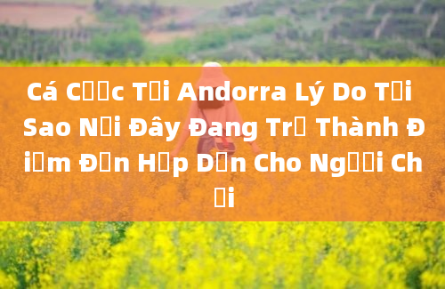 Cá Cược Tại Andorra Lý Do Tại Sao Nơi Đây Đang Trở Thành Điểm Đến Hấp Dẫn Cho Người Chơi