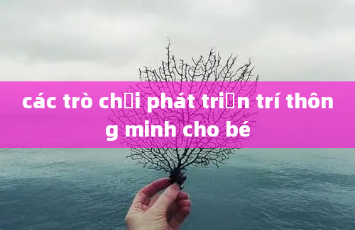 các trò chơi phát triển trí thông minh cho bé