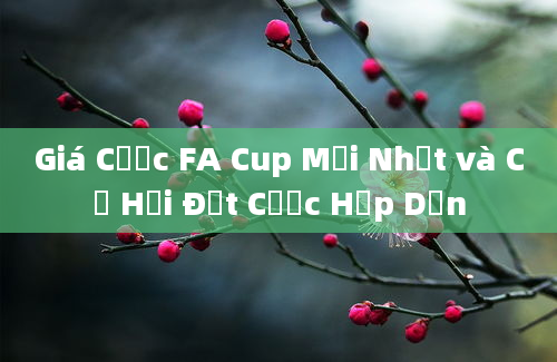 Giá Cược FA Cup Mới Nhất và Cơ Hội Đặt Cược Hấp Dẫn