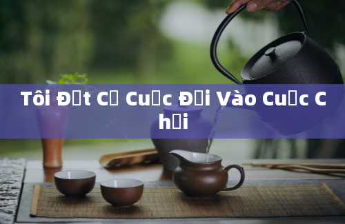 Tôi Đặt Cả Cuộc Đời Vào Cuộc Chơi