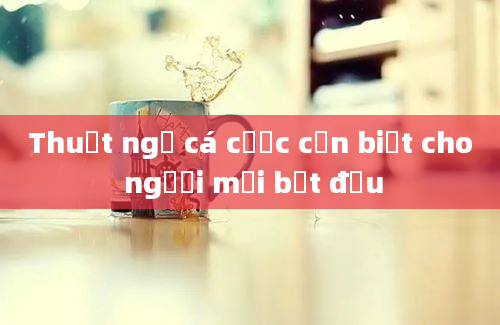 Thuật ngữ cá cược cần biết cho người mới bắt đầu