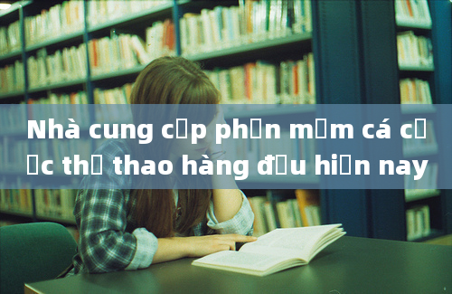 Nhà cung cấp phần mềm cá cược thể thao hàng đầu hiện nay