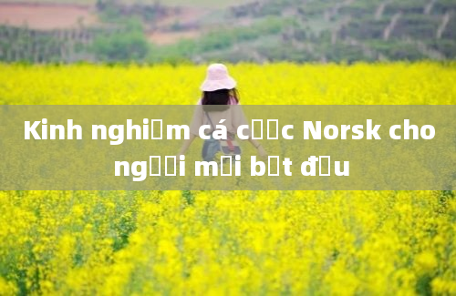 Kinh nghiệm cá cược Norsk cho người mới bắt đầu