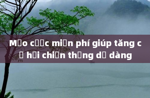 Mẹo cược miễn phí giúp tăng cơ hội chiến thắng dễ dàng