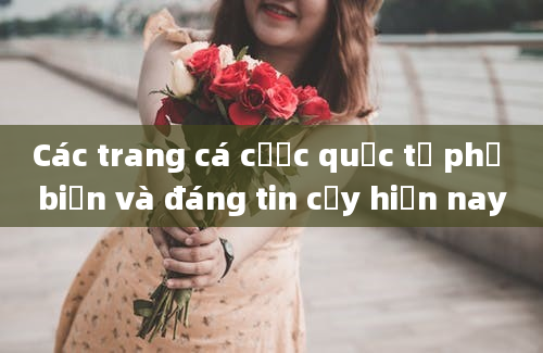 Các trang cá cược quốc tế phổ biến và đáng tin cậy hiện nay