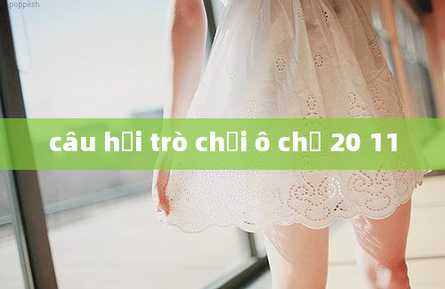 câu hỏi trò chơi ô chữ 20 11