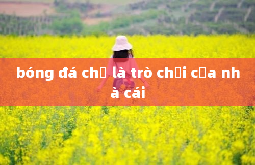 bóng đá chỉ là trò chơi của nhà cái