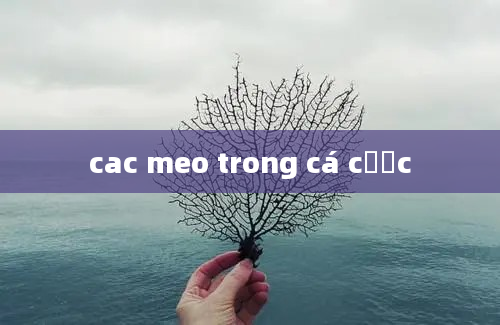 cac meo trong cá cược