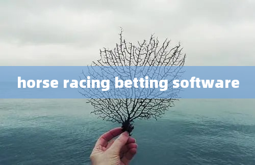 horse racing betting software