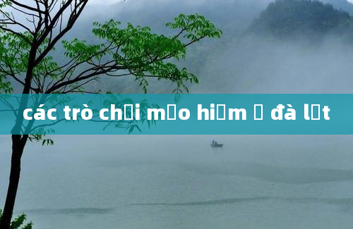 các trò chơi mạo hiểm ở đà lạt