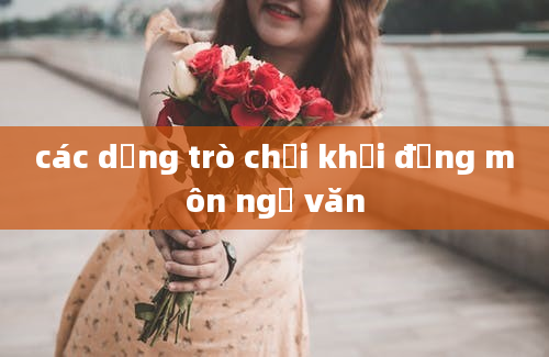 các dạng trò chơi khởi động môn ngữ văn