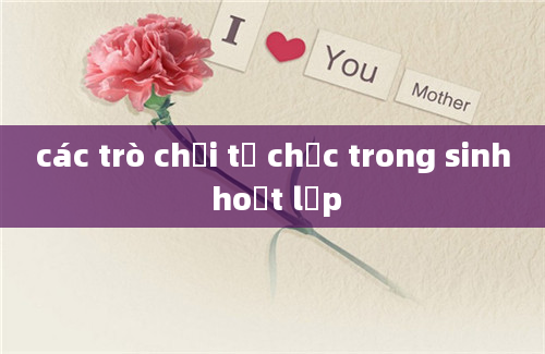 các trò chơi tổ chức trong sinh hoạt lớp