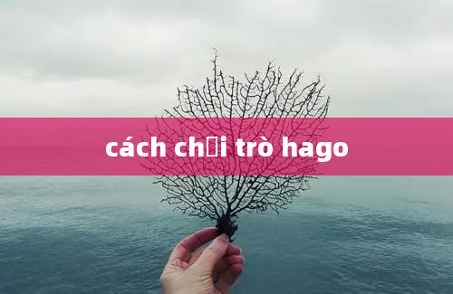 cách chơi trò hago