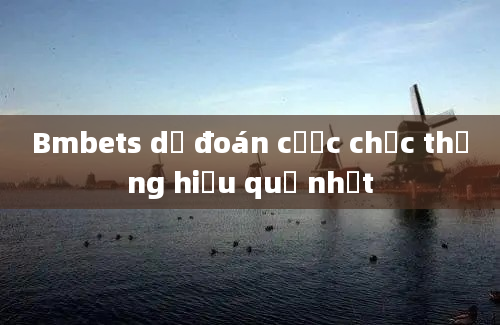 Bmbets dự đoán cược chắc thắng hiệu quả nhất