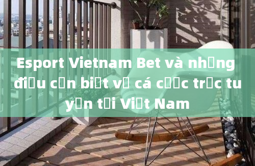 Esport Vietnam Bet và những điều cần biết về cá cược trực tuyến tại Việt Nam