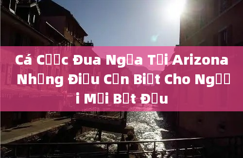 Cá Cược Đua Ngựa Tại Arizona Những Điều Cần Biết Cho Người Mới Bắt Đầu