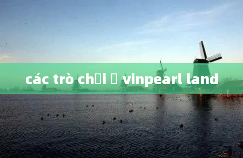 các trò chơi ở vinpearl land