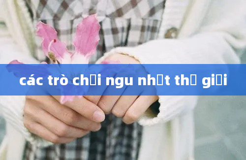 các trò chơi ngu nhất thế giới