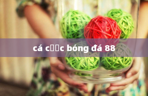 cá cược bóng đá 88