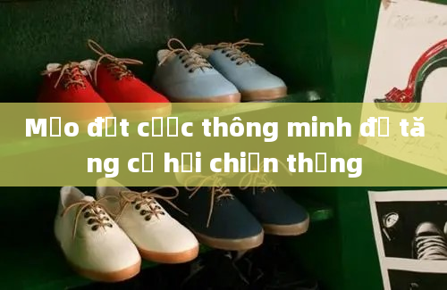 Mẹo đặt cược thông minh để tăng cơ hội chiến thắng