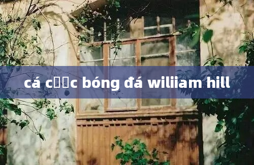 cá cược bóng đá wiliiam hill