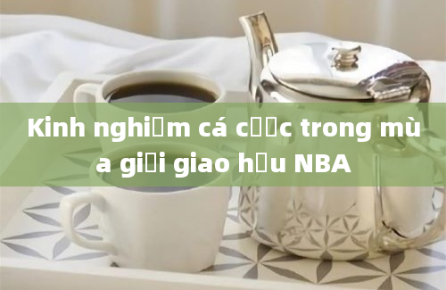 Kinh nghiệm cá cược trong mùa giải giao hữu NBA