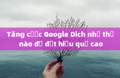 Tăng cược Google Dich như thế nào để đạt hiệu quả cao