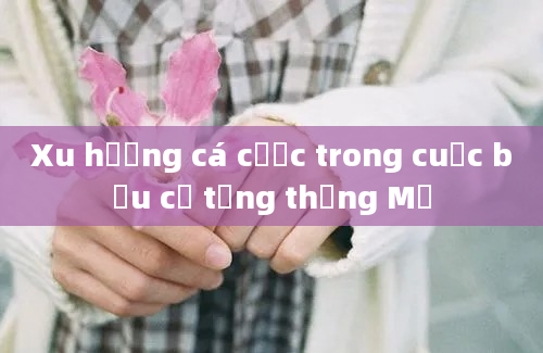 Xu hướng cá cược trong cuộc bầu cử tổng thống Mỹ