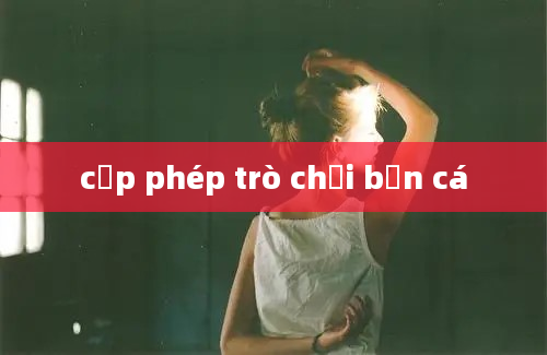 cấp phép trò chơi bắn cá