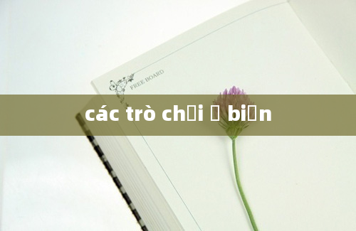 các trò chơi ở biển