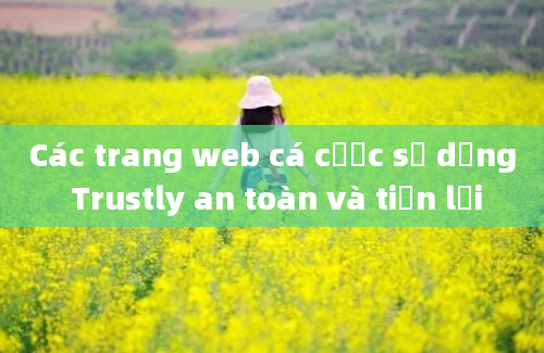 Các trang web cá cược sử dụng Trustly an toàn và tiện lợi