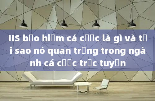 IIS bảo hiểm cá cược là gì và tại sao nó quan trọng trong ngành cá cược trực tuyến