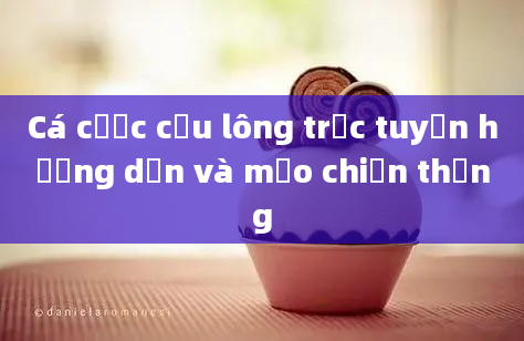 Cá cược cầu lông trực tuyến hướng dẫn và mẹo chiến thắng