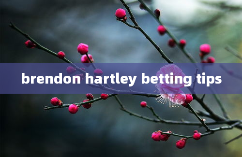 brendon hartley betting tips