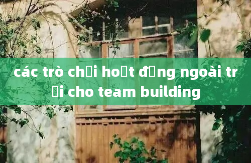 các trò chơi hoạt động ngoài trời cho team building