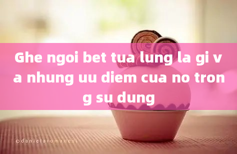 Ghe ngoi bet tua lung la gi va nhung uu diem cua no trong su dung