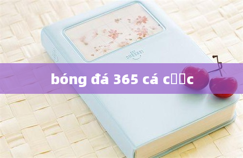 bóng đá 365 cá cược