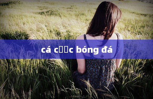 cá cược bóng đá