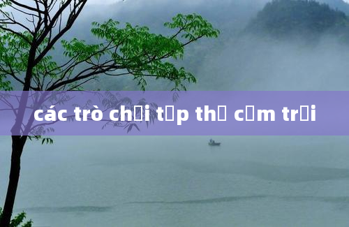 các trò chơi tập thể cắm trại