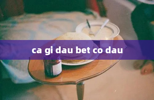 ca gi dau bet co dau