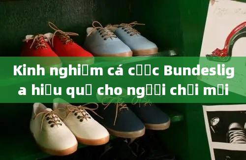 Kinh nghiệm cá cược Bundesliga hiệu quả cho người chơi mới