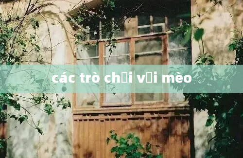 các trò chơi với mèo