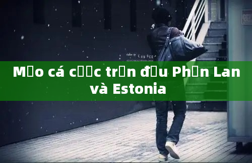 Mẹo cá cược trận đấu Phần Lan và Estonia