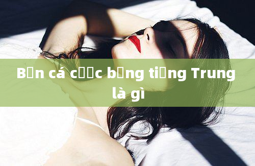 Bạn cá cược bằng tiếng Trung là gì